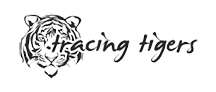 Best Custom Software development company